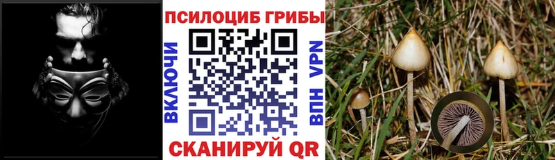 Галлюциногенные грибы мухоморы  Купить  Кизляр 