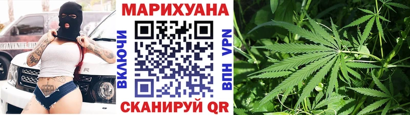 Бошки Шишки план  Купить закладки  Кизляр 